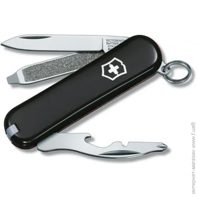   Victorinox ͳ Rally Black (1049-Vx06163.3)