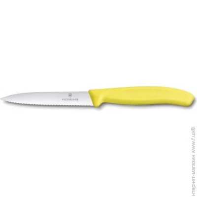     Victorinox     Swiss Classic 100,  (6.7736.L8) 