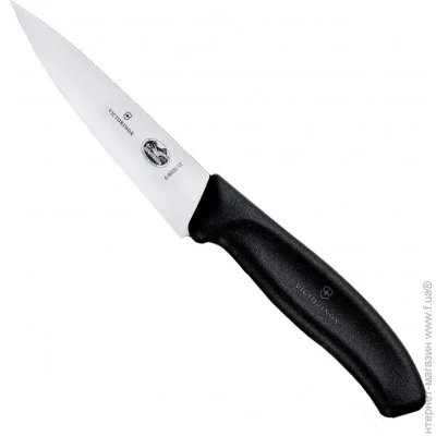    Victorinox     Swiss Classic 120 (6.8003.12G) 