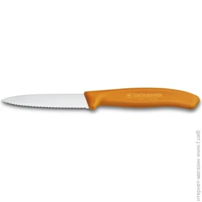   Victorinox Swiss Classic 80,  (6.7636.L119)