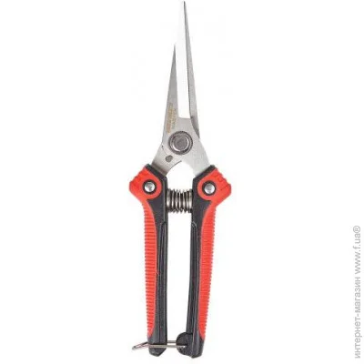  Vitals   Vitals Master PS-205-01 (000163190)