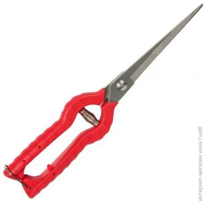  Vitals   Vitals PS-240-01 (000123182)