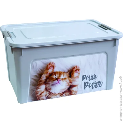 Vivendi     CAT 27   265x495x320 