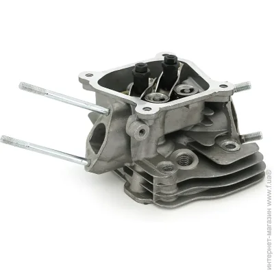Voltronic     168F  