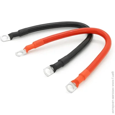 Voltronic  (') 30  12    10  ,   