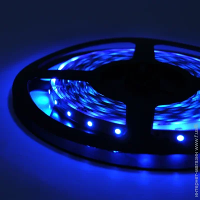 LED  Voltronic   3528, (60 ) 5   Blue