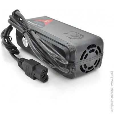   Voltronic      48V, 110-220V,   12,6/120V/10A