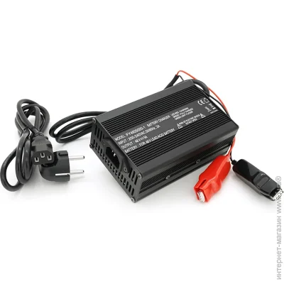 Voltronic     AGM 48V/5A,  XT60, 135*90*50mm