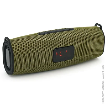   Voltronic  DH7+Display Bluetooth 4.1  10m, 13W, 4, 400mAh, 90dB, TF card/USB, , DC 5V, Green