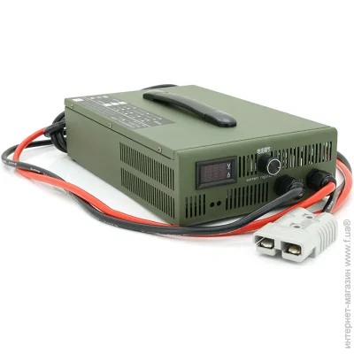   Voltronic     LiFePO4 24V(29,2V),8S,100A, ' Anderson, 320x200x80mm