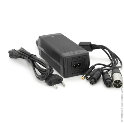 Voltronic      Li-ion 36V(42V),10S, 2A, 4  ', LED 