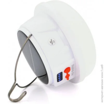 ˳ Voltronic GoldSilver (GS-3900)