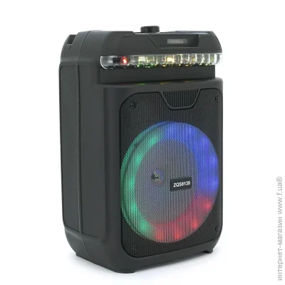   Voltronic ZQS8139 Black