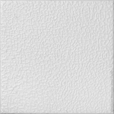   009 (8 . 2 .)