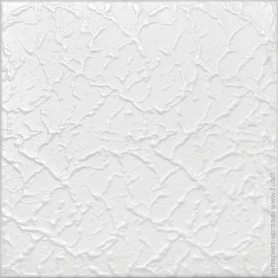   041 (8 . 2 .)