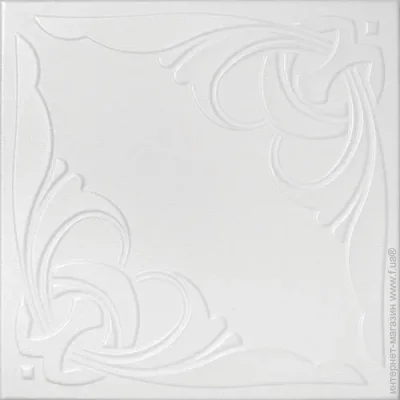   095 (8 . 2 .)