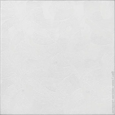   100 (8 . 2 .)