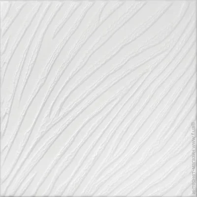   104 (8 . 2 .)
