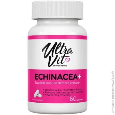   Vplab   Echinacea + 60  (4384303140)
