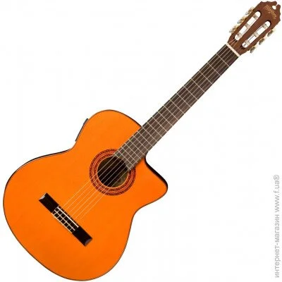   Washburn C5CE