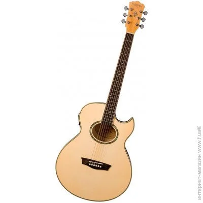  Washburn EA20