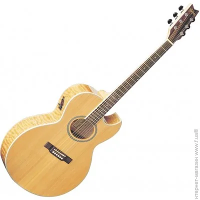   Washburn EA20 SDL