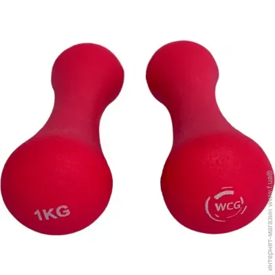  WCG     1  (21) (W-120-1x2)