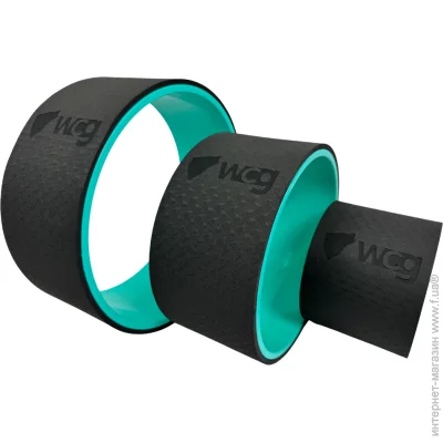    WCG  3 .      ( ) (W-1029-3)
