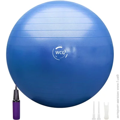 WCG '   65 Anti-Burst 300   +   (W-000-65b)