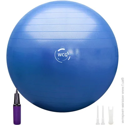 WCG    () 65 Anti-Burst 300  +  (W-000-65-T)