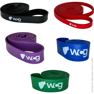  WCG  -     Level (W-4030)