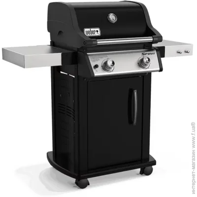   Weber   Spirit E-215 GBS 46112275