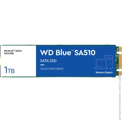SSD Western Digital Blue 1TB (WDS100T3B0B-00AXS0)
