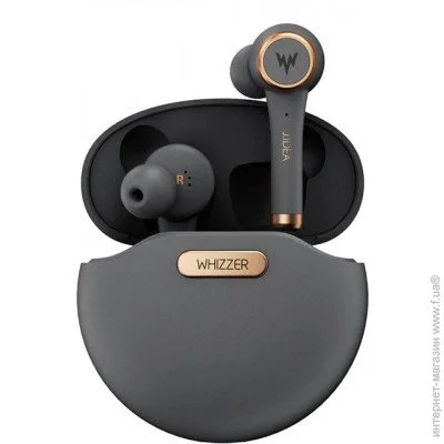  Whizzer TWS-TP1 Grey