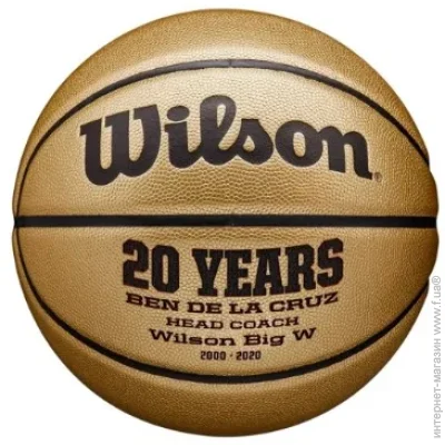   WILSON GOLD COMP