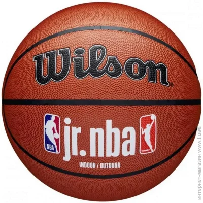 Wilson   JR NBA FAM LOGO INDOOR OUTDOOR size 5 WZ2009801XB5