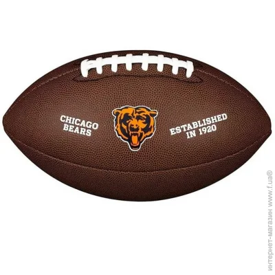 Wilson     Nfl licensed ball WTF1748XBCH