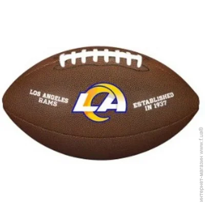 Wilson     Nfl licensed ball WTF1748XBLA