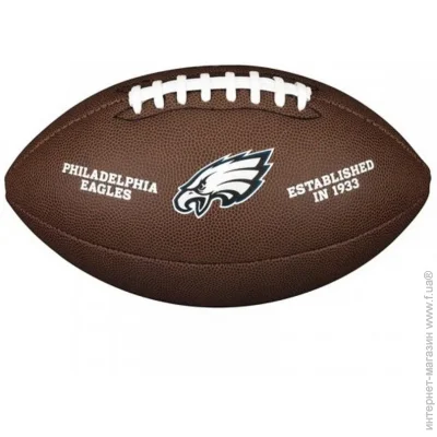 Wilson     Nfl licensed ball WTF1748XBPH