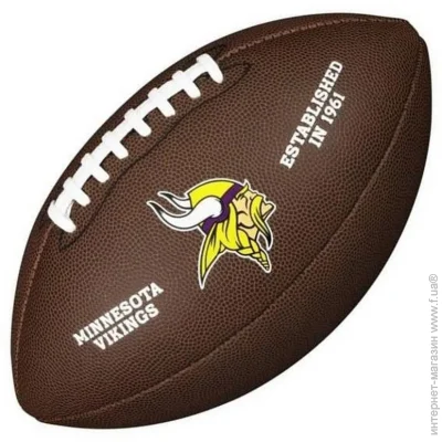 Wilson     Nfl licensed football WTF1748XBMN