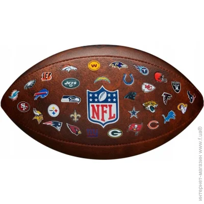  Wilson NFL Official Throwback 32 Team (WTF1758XBNF32-9)