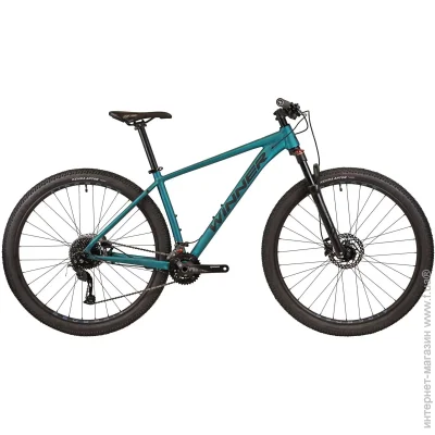  Winner 29" SOLID-GT L  () (25-314)