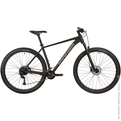  Winner 29" SOLID-GT L  (25-315)