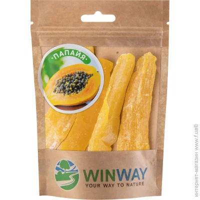  Winway   100  (4821912900242)