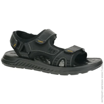     Wollen .42  (66429-42)