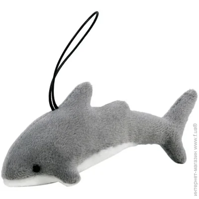 Wp Merchandise   " " FWPSHARKAQUA23GR0, 13 