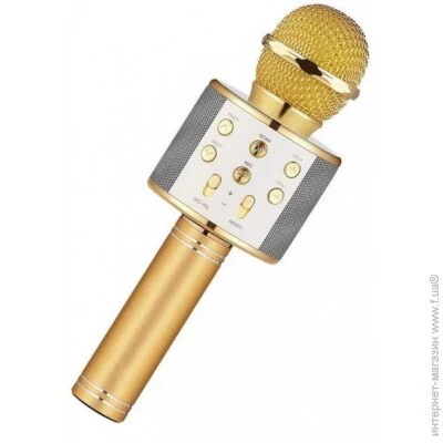    Wster WS-858 Gold (21858MK00178)