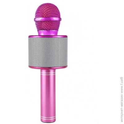    Wster WS 858  (115)