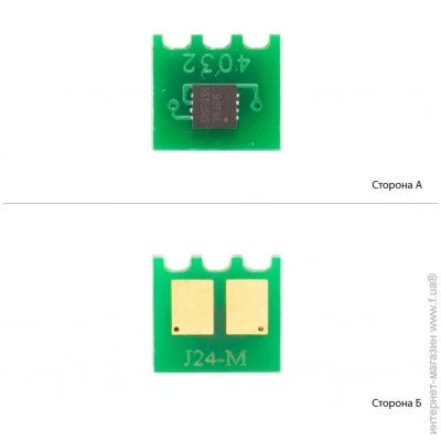 ׳ WWM Magenta () (J24M) 