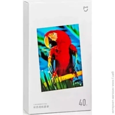  Xiaomi Instant 6(40) (BHR6757GL) (1018158)